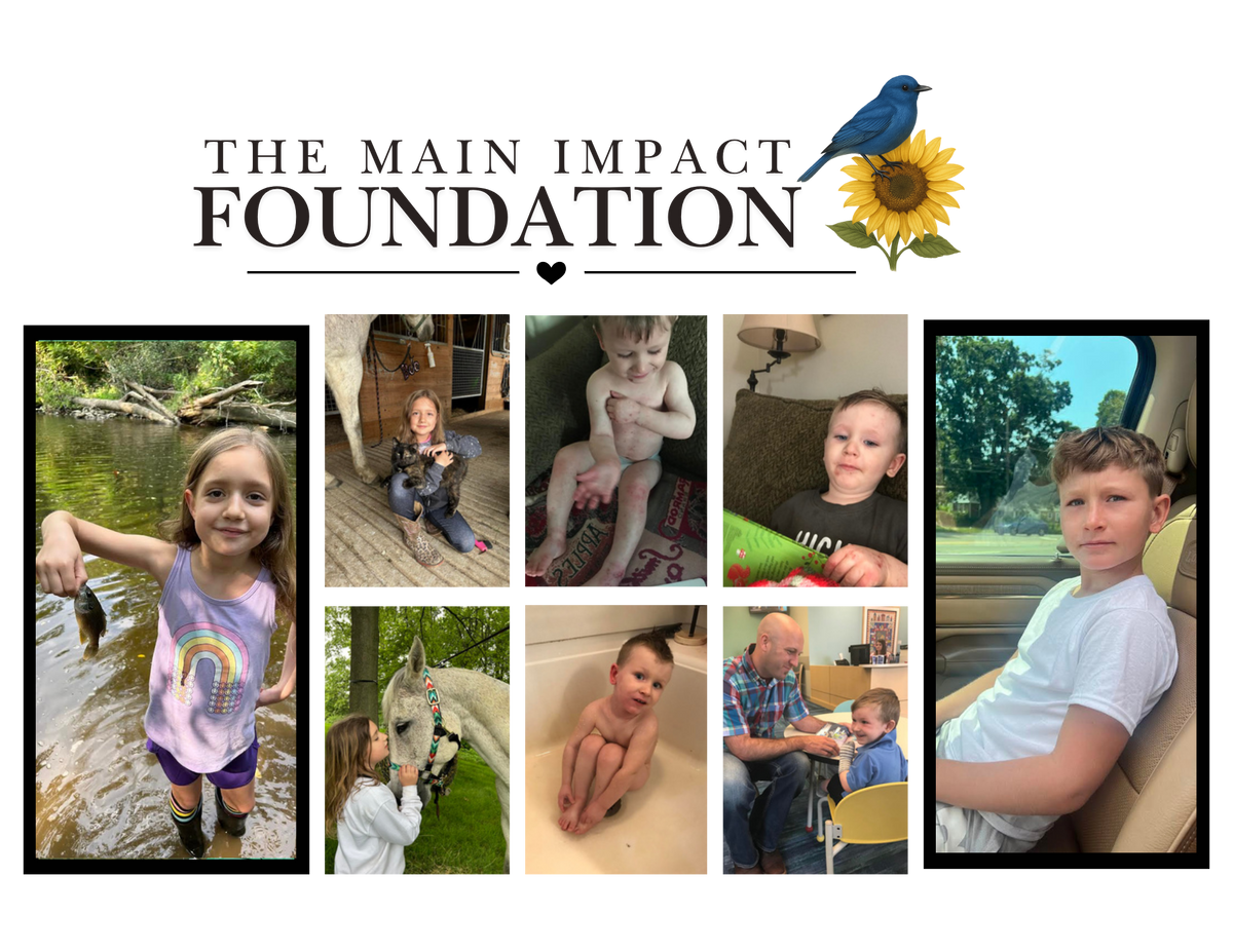 Donate to The Main Impact Foundation